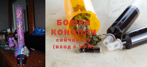 гидра Бикин