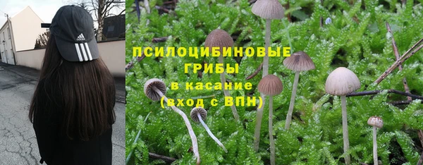 таблы Алексин