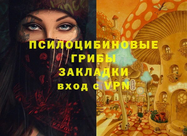 сатива Алексеевка