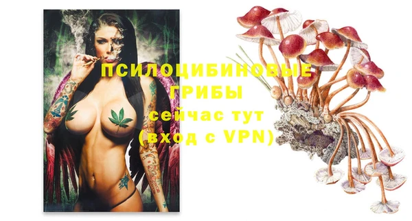 сатива Алексеевка