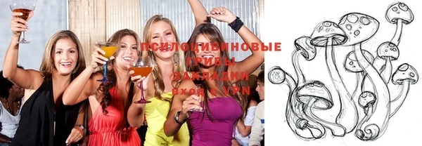 гашик Алзамай