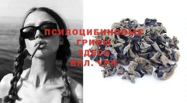 сатива Алексеевка