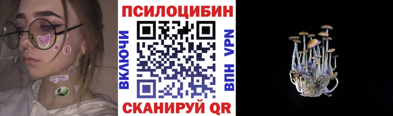 Галлюциногенные грибы Magic Shrooms  кракен онион  Олонец  где купить наркотик 